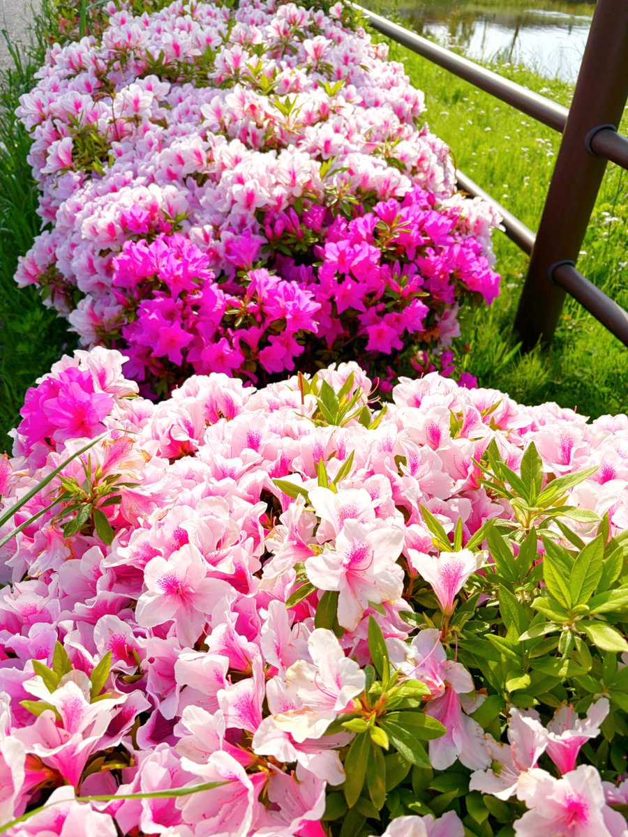 はっと /島田絋子@2人展アートスープ4/29- tweet media