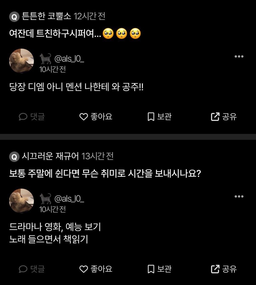 🐈‍⬛ tweet media