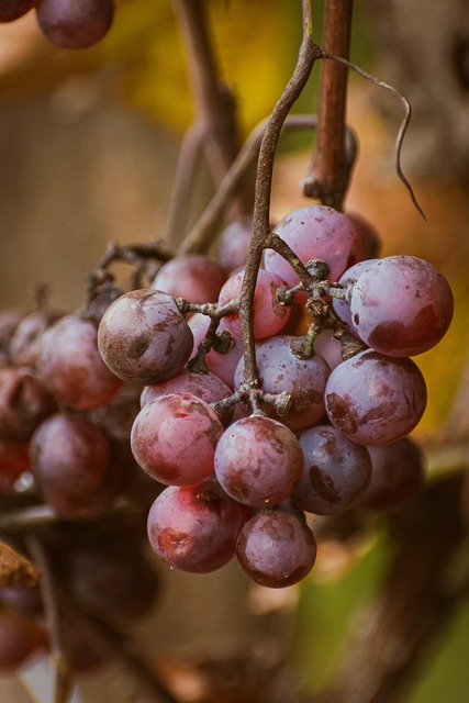 Tony Dodson tweet media