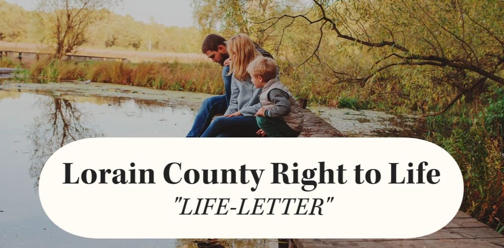 lcountyr2life's tweet photo. Study: Most Abortion Pill Prescriptions Filled by Mail-order Pharmacies...
https://t.co/lE2VunWUqU https://t.co/kdWQFNHNt2