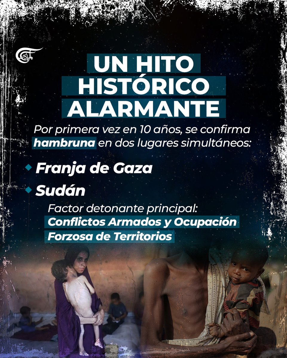 almayadeen_es's tweet image. #Emergencia #Alimentos #Crisis