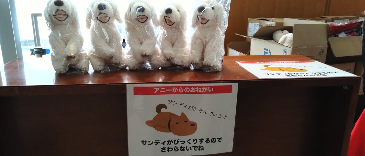 ybaby10170814's tweet image. ②アニー
新国立劇場
グッズ

#アニー
#新国立劇場
#グッズ
