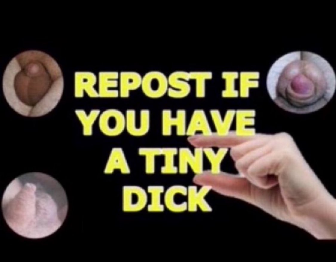 ALPHA BULL tweet media