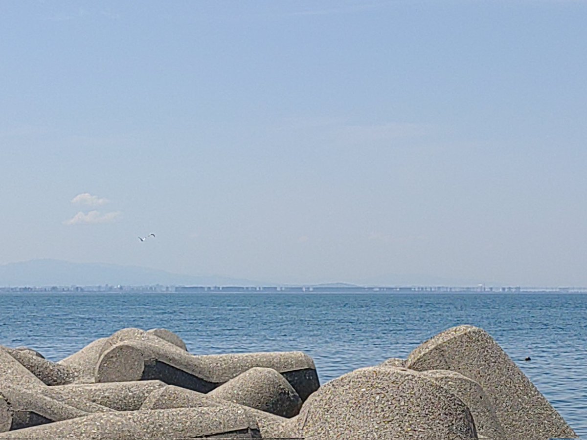 W.C.カラス tweet media