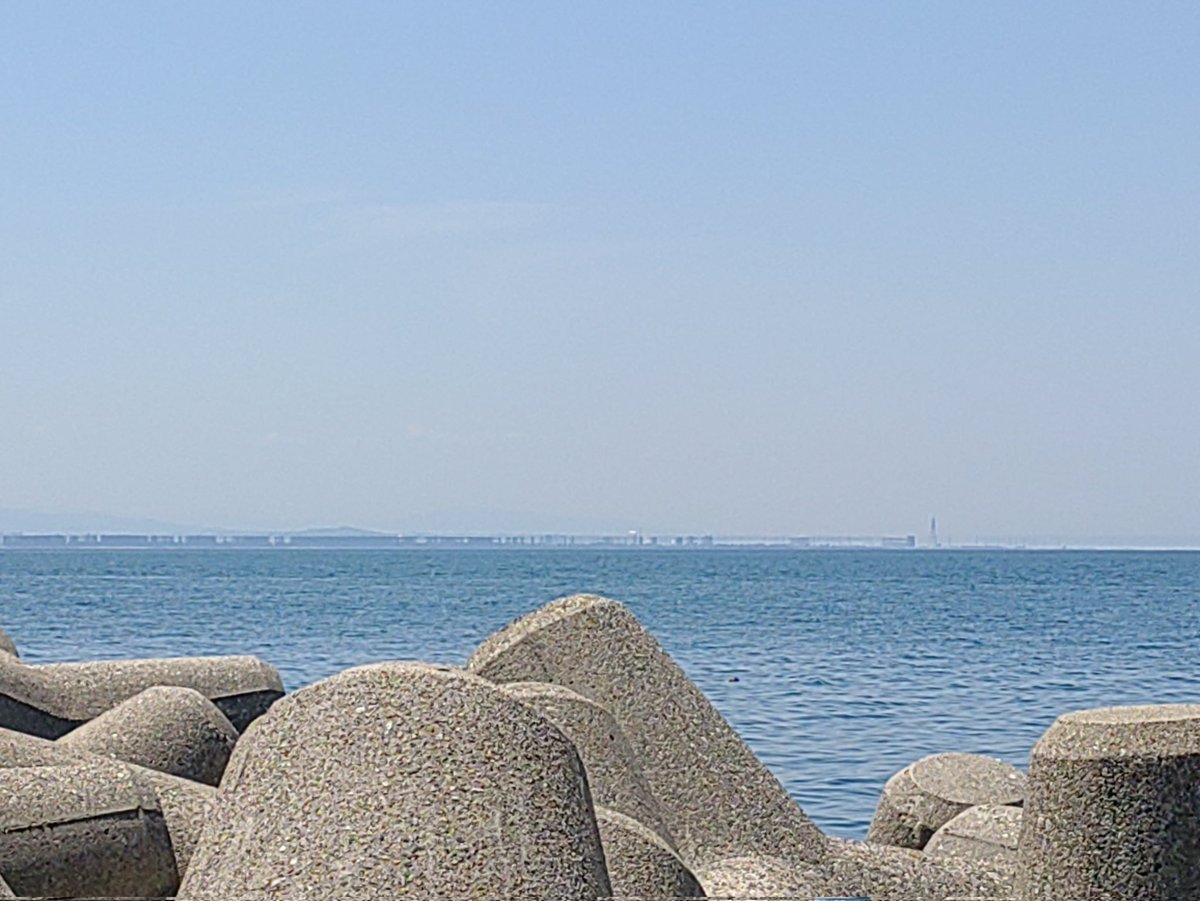 W.C.カラス tweet media