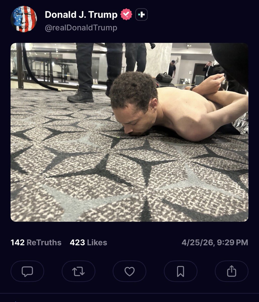 captive dreamer tweet media