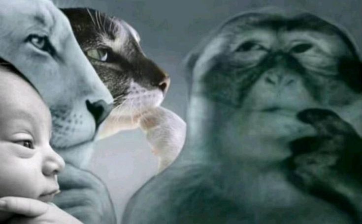 🥀𝒲ℯ𝓃𝒹𝓎 𓆣 tweet media