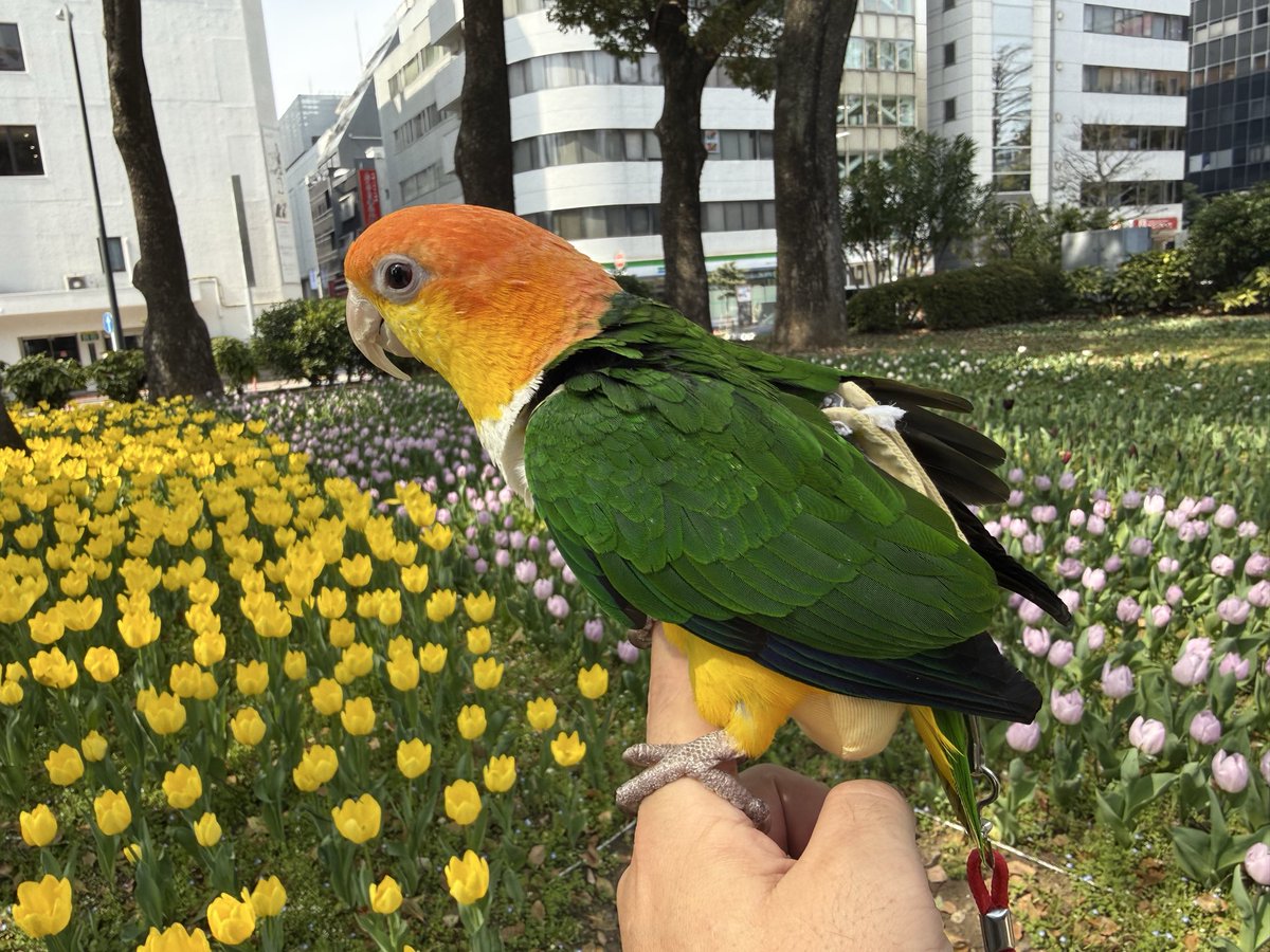 のりきな tweet media