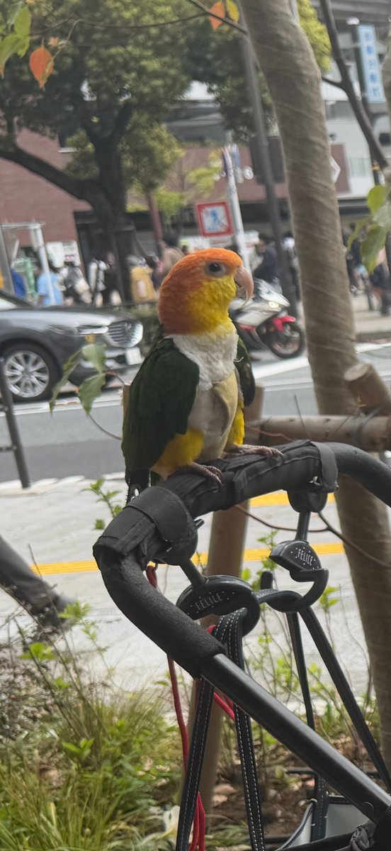 のりきな tweet media