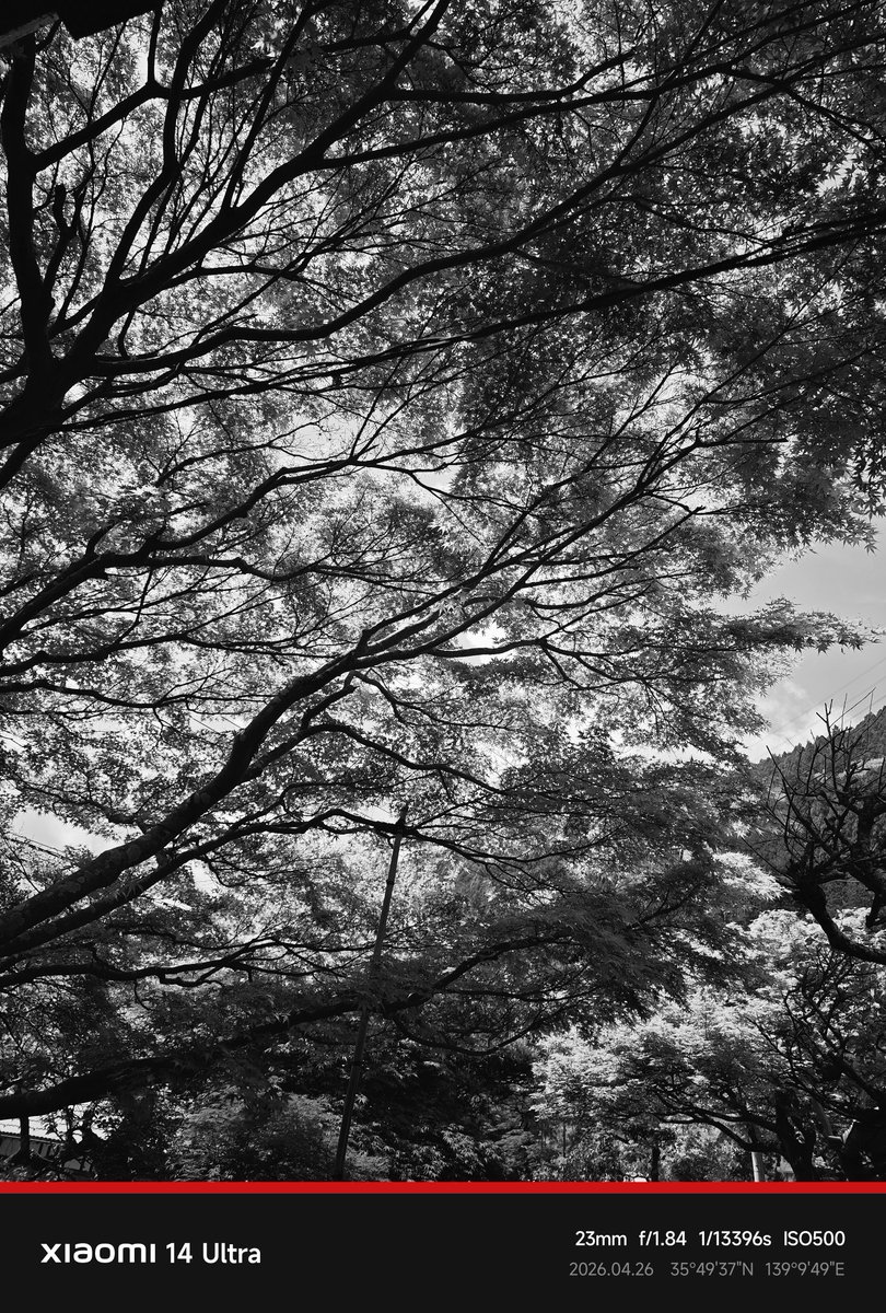 𝙋𝙞𝙭𝙮⚡️Robbia🌶️ tweet media