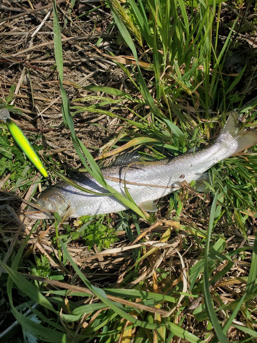 タカスィー tweet media