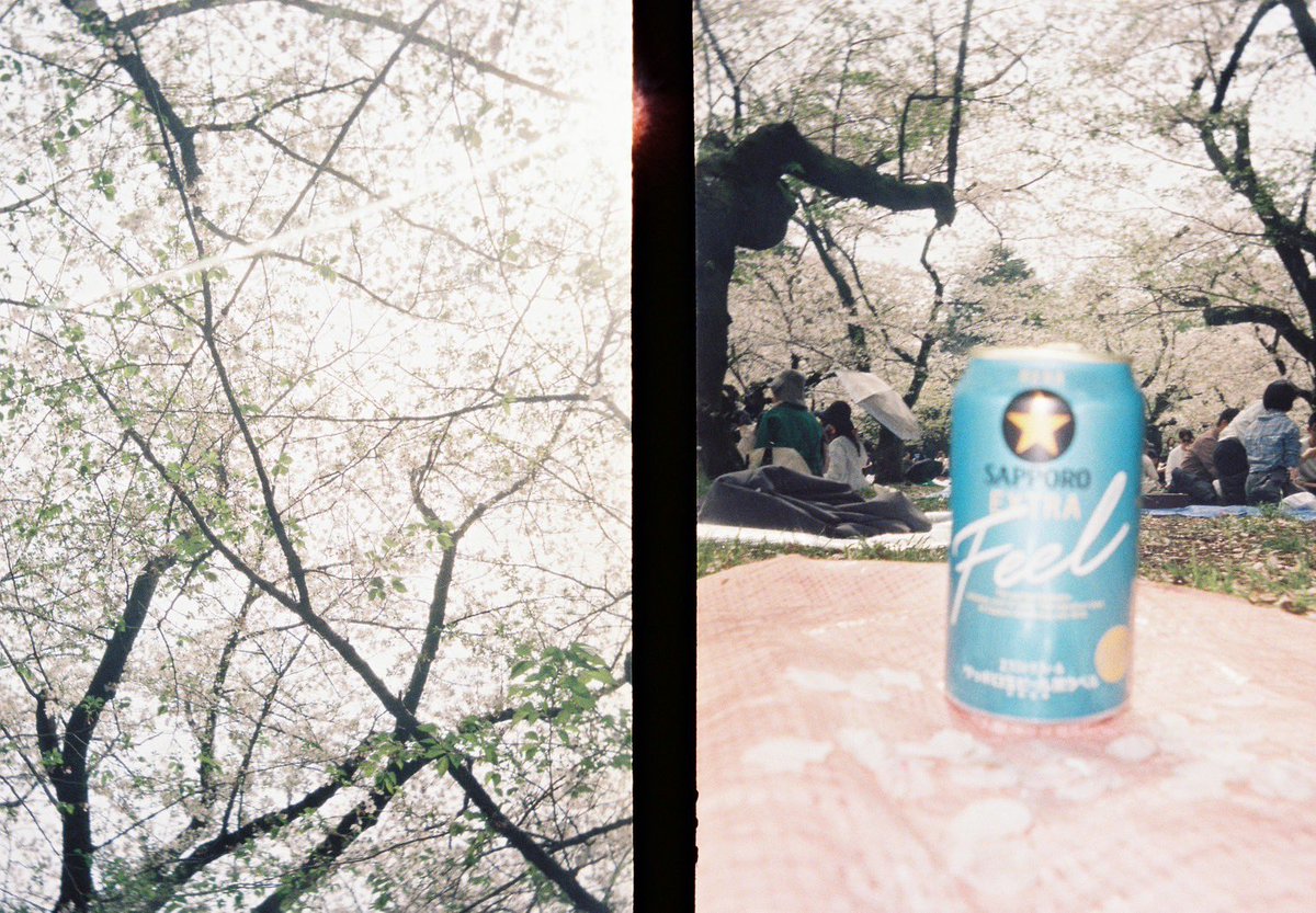 迫田 明衣子 tweet media