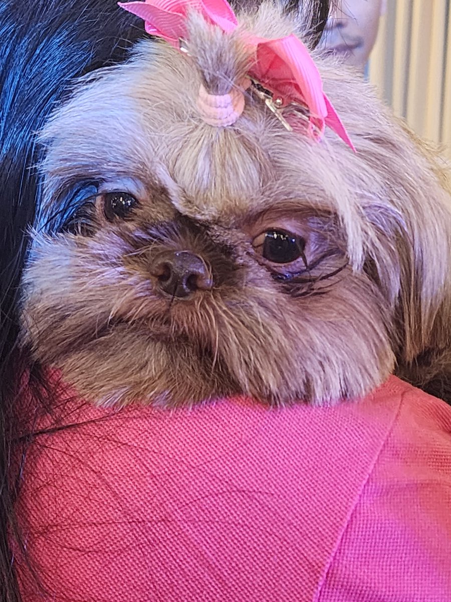 ningning tweet media