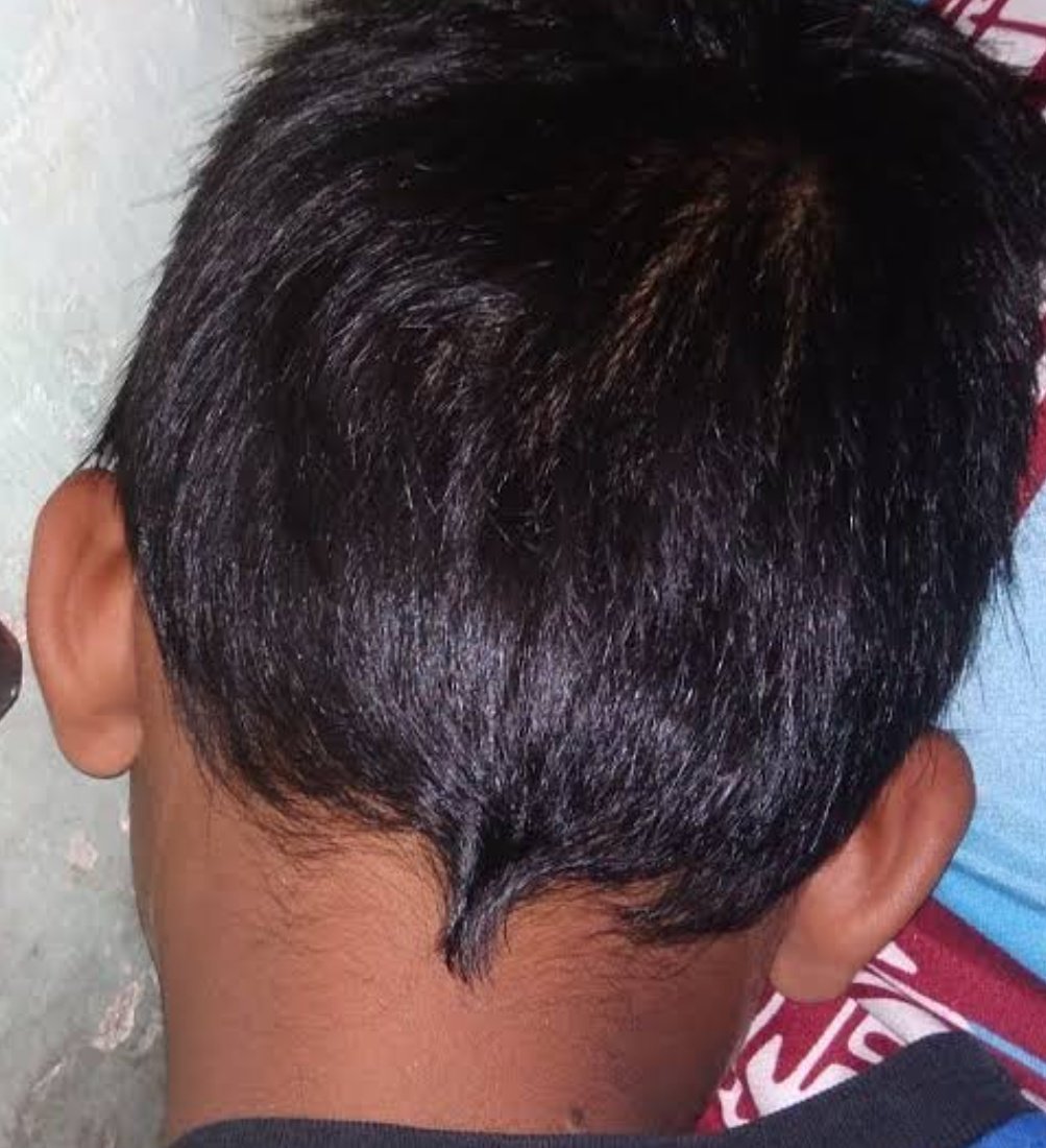 Burung Biru🕊 tweet media