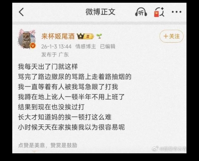 陈哥说Pro tweet media