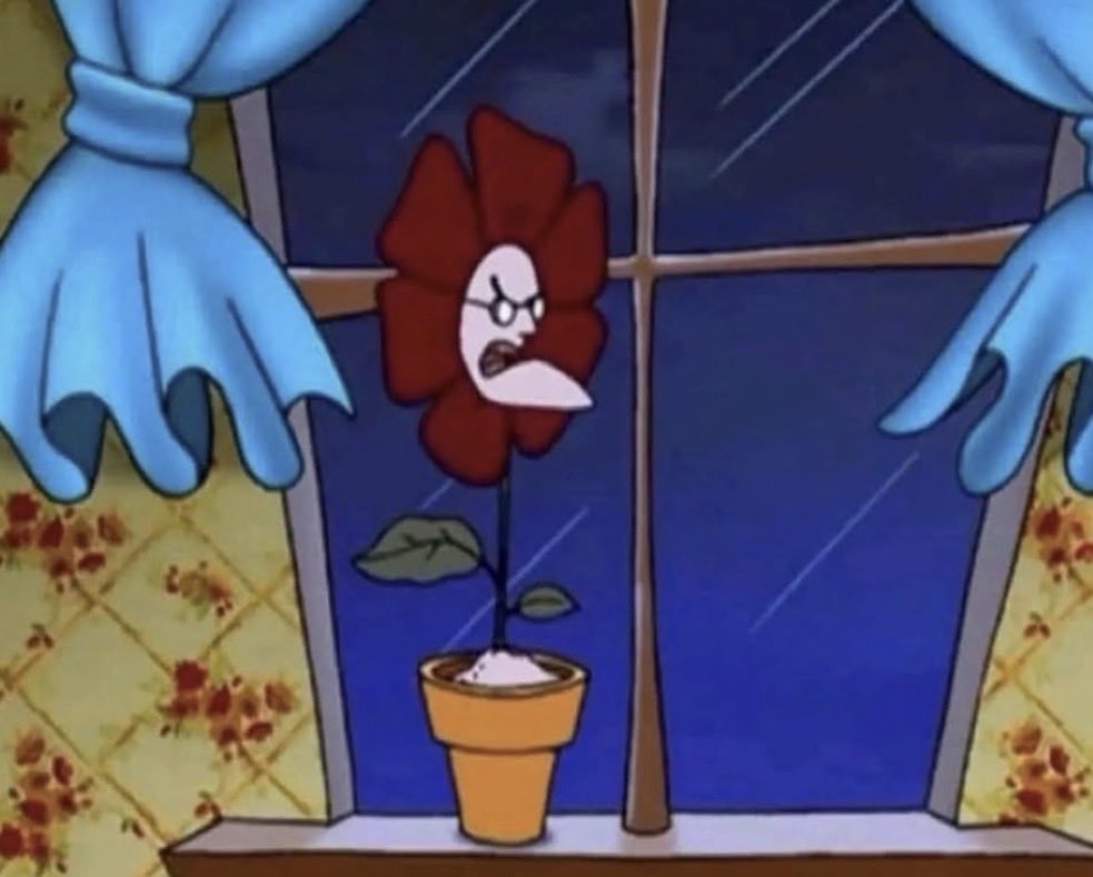 Campanita y juanda hoy  🤣#LaCasaDeLosFamososCol 🇨🇴
#LaCasaDeLosFamososCol3
#LaCasaDeLosFamososColombia
#LCDLFCOL #LCDLFCOL3🌻