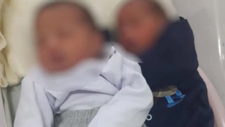 世界のど迫力映像@フォレスト(Forest)🕊️ tweet media