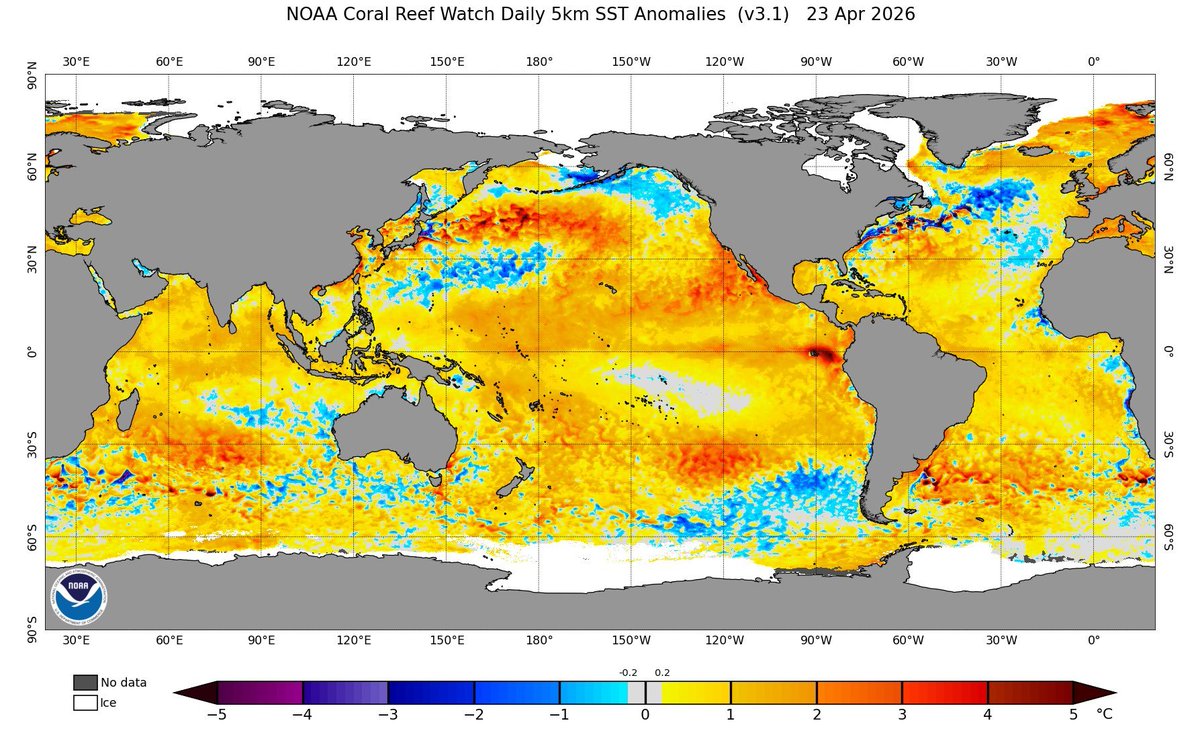 🌧️⛈️Profesor Eduardo ( The Weatherman) 🌨️🌪️ tweet media