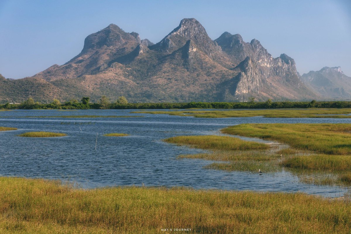 Nath Chanya tweet media