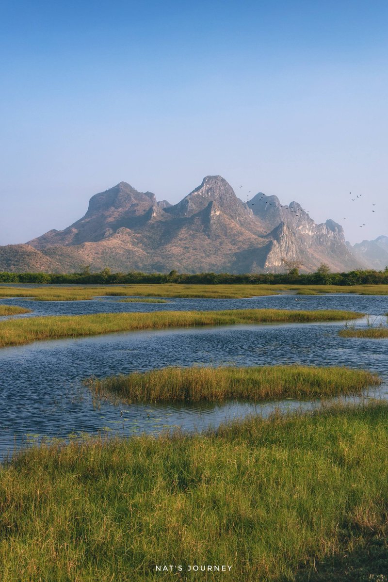 Nath Chanya tweet media