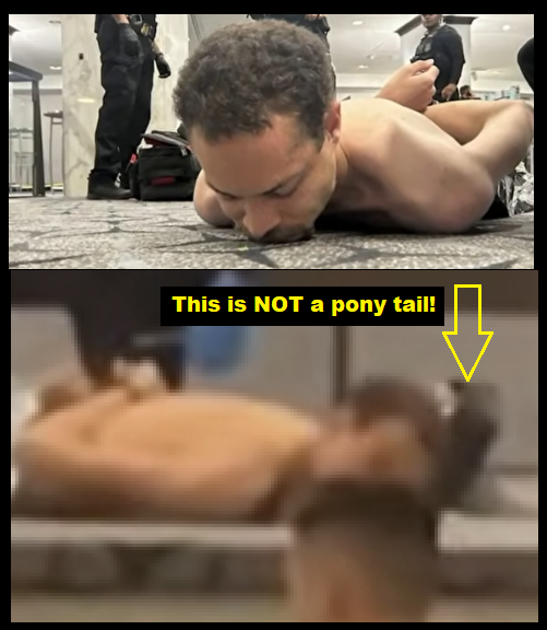 RebeccaDMedley's tweet photo. Soooo this is NOT a pony tail that we saw in the first photos released. Sure fooled me! Here he is folks!
Anyone get a name yet?
#Pray4OurNation
#Pray4Trump https://t.co/NhbWACzqh6