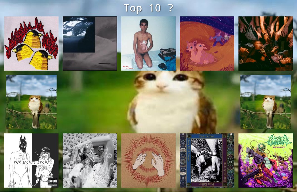 Pineapple 🐑🫀 tweet media