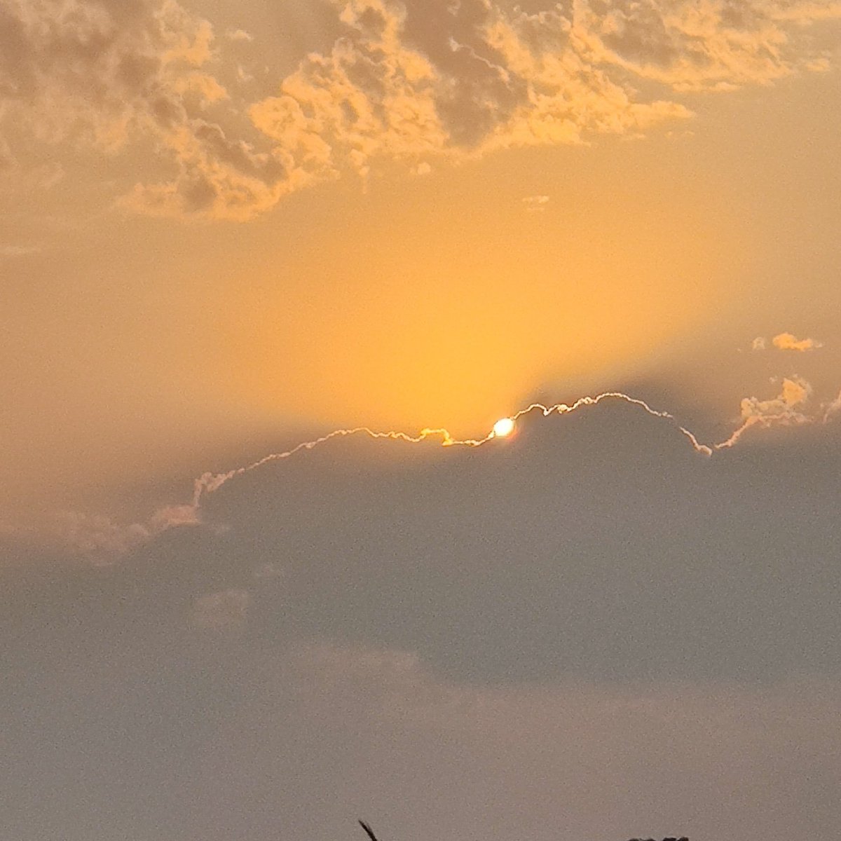 BarveNutan's tweet photo. #3wordspoet
@3wordspoet1 
25/4/2026
Serene
#Serene absence speaks 
#seren sky says https://t.co/C3yNlV6tYH