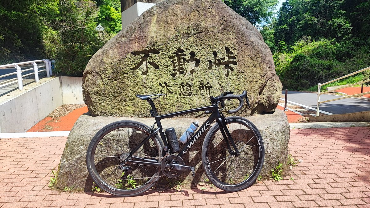 まさこ2号 tweet media