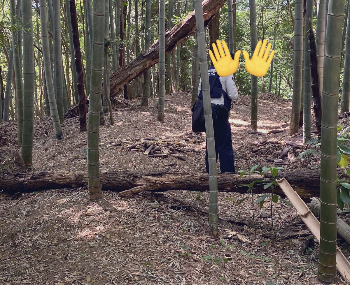 かずきんぐ tweet media