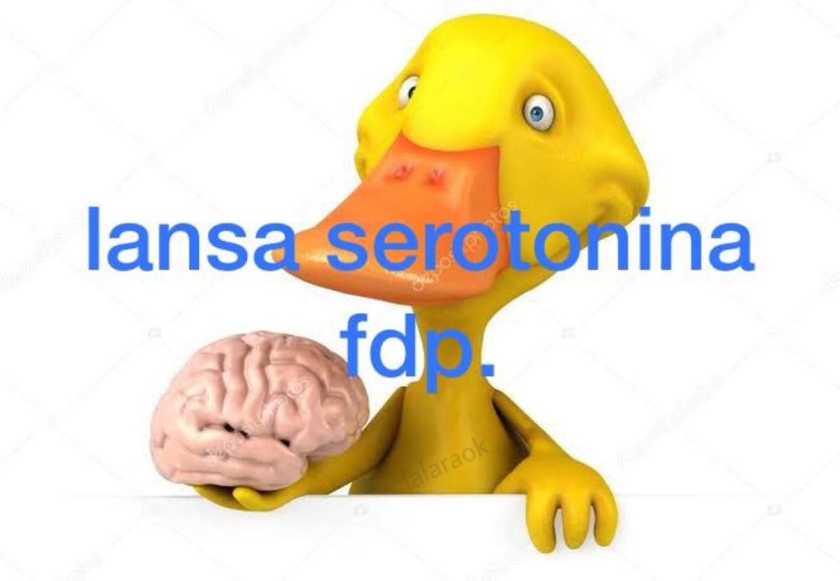 perfil dedicado a gatinhos e peitos tweet media