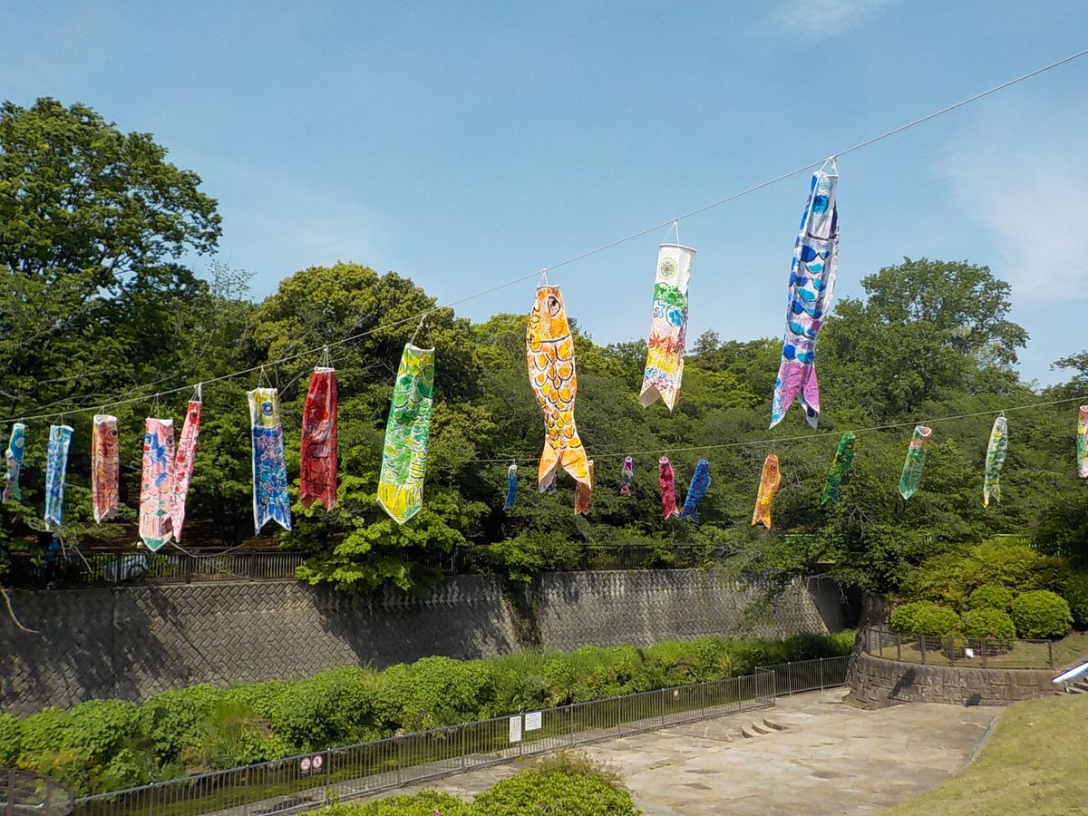 都立祖師谷公園 tweet media