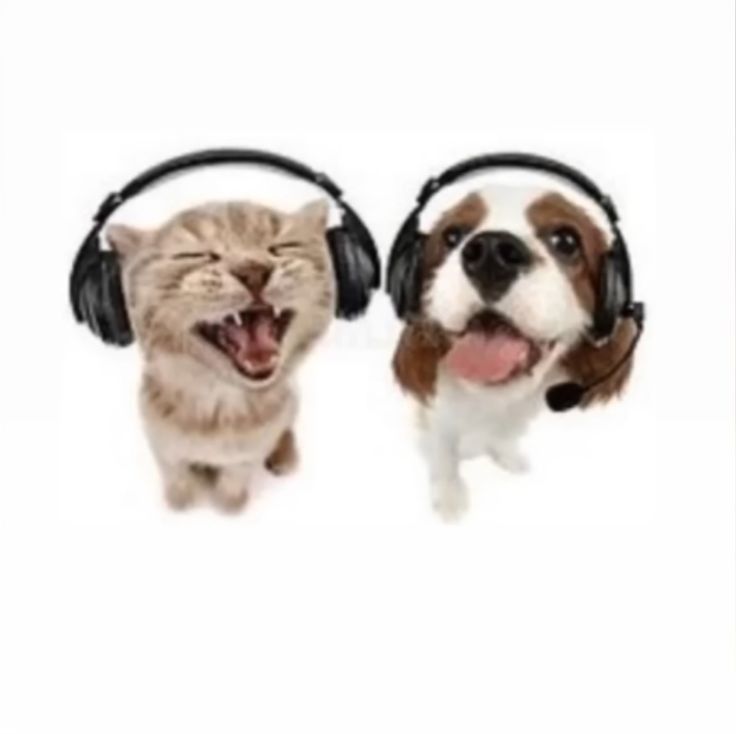 𝓚𝓪𝓻𝓼𝓮𝓻𝓪𝓽𝓸 𝓝𝓚𝟕 tweet media