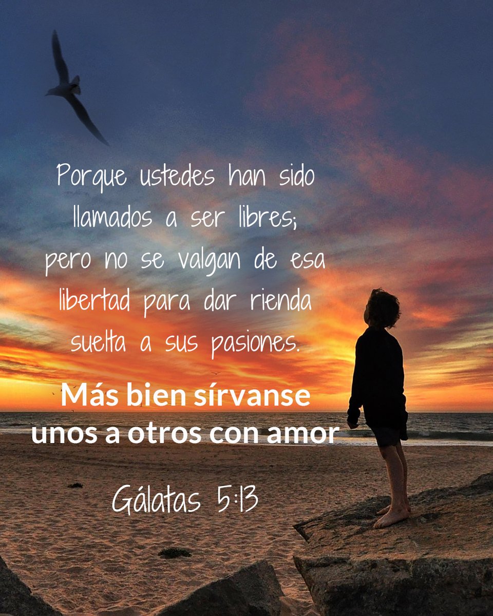 CercaEsta's tweet photo. Les hablo así, hermanos, porque ustedes han sido llamados a ser libres; pero no se valgan de esa libertad para dar rienda suelta a sus pasiones. Más bien sírvanse unos a otros con amor— Gálatas 5:13
#Galatas #pasión #hermano #libertad #servir https://t.co/DI2bv9B5vy