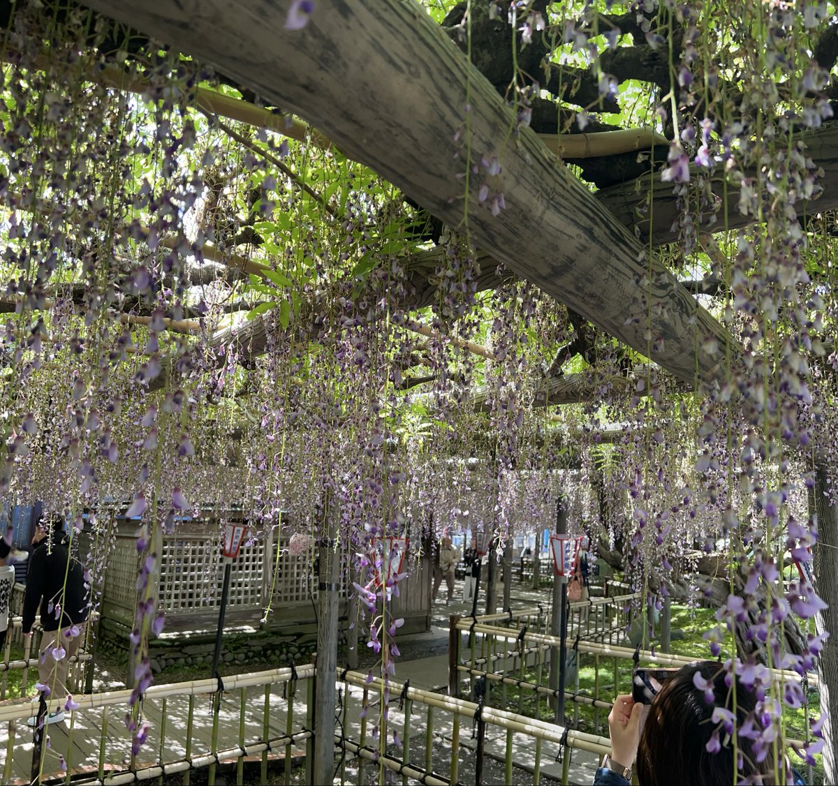 O-リツ［SR400］ tweet media