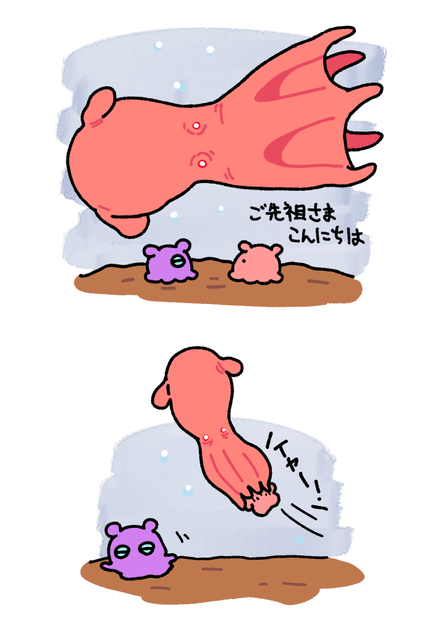 まいにちめんだこ (@daily_mendako) on Twitter photo 