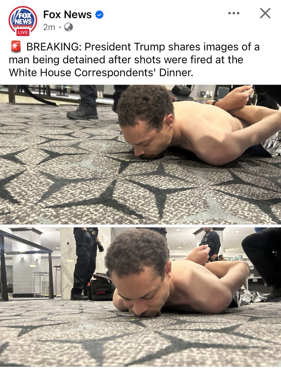 Rita Panahi tweet media