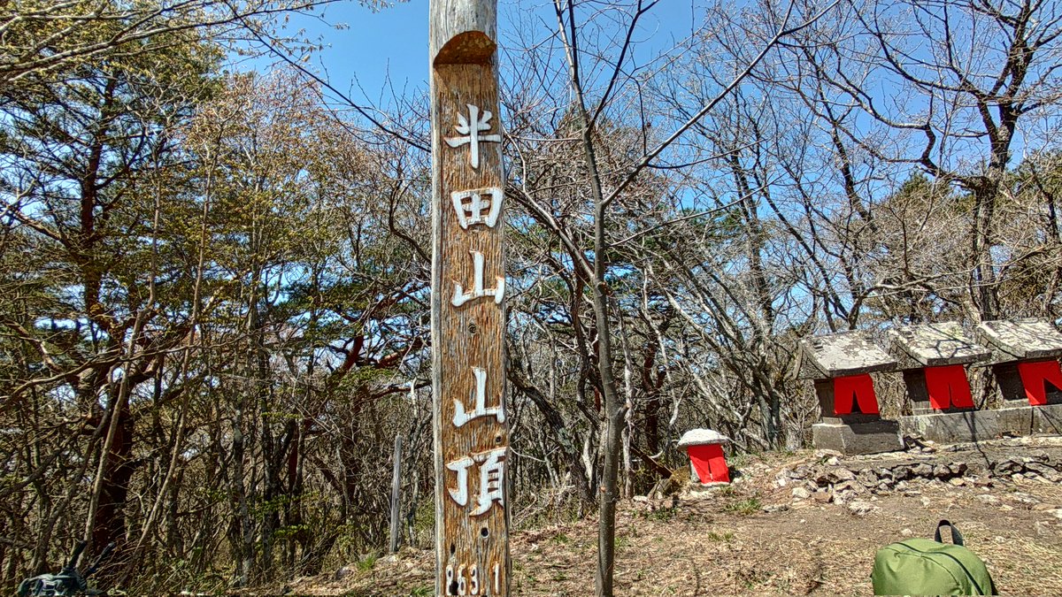 マナドーナ tweet media