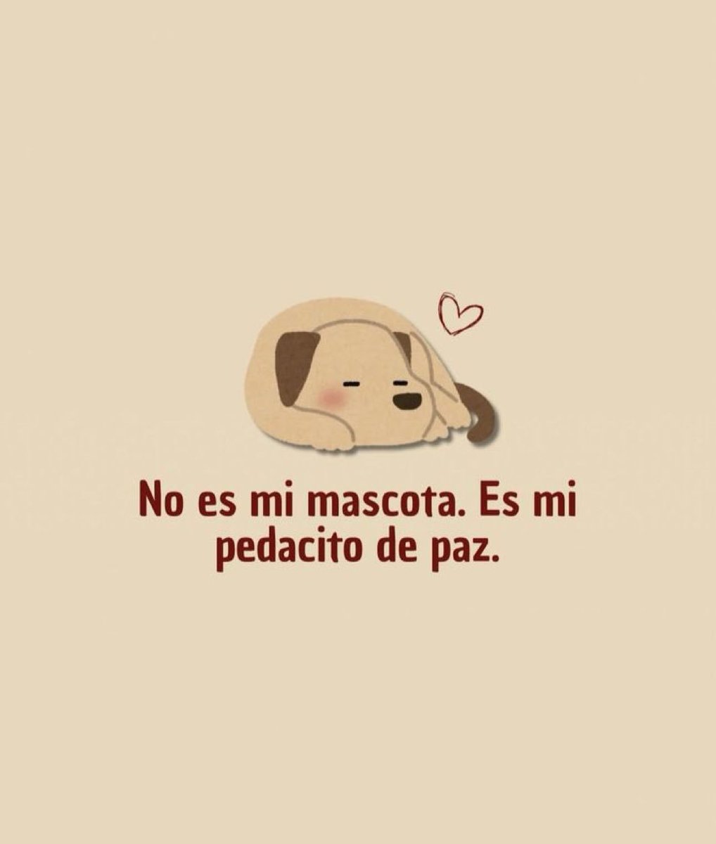 Dilo con perritos (@diloconperritos) on Twitter photo 