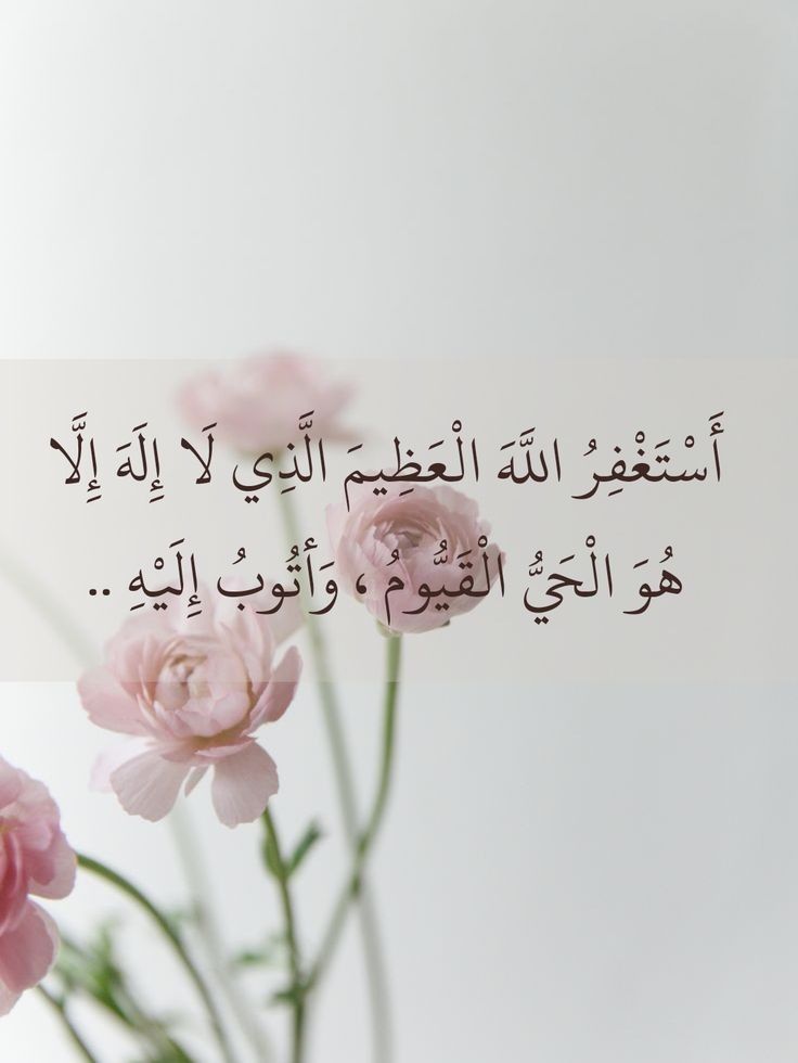 سارة 💜🇸🇦💚 tweet media