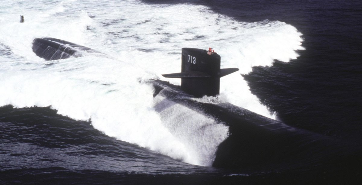 BORN FREE tweet media