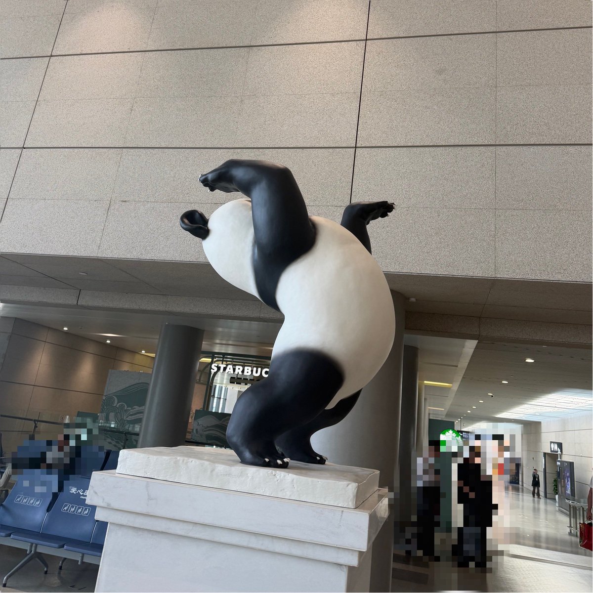 funfengfan's tweet photo. 上海🇨🇳！〜空港のアグレッシブパンダを添えて〜

フェンファンにおすすめしてもらった蟹味噌の小籠包？を食べ損ねて帰ってきてしまったしなんなら外灘もタクシーから見て見たことにしてしまった😁面白い国だった https://t.co/UF8xEFCZ8m