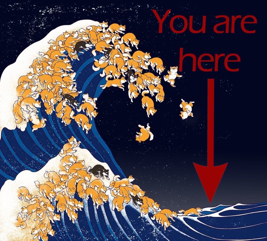 FellaFanatic tweet media