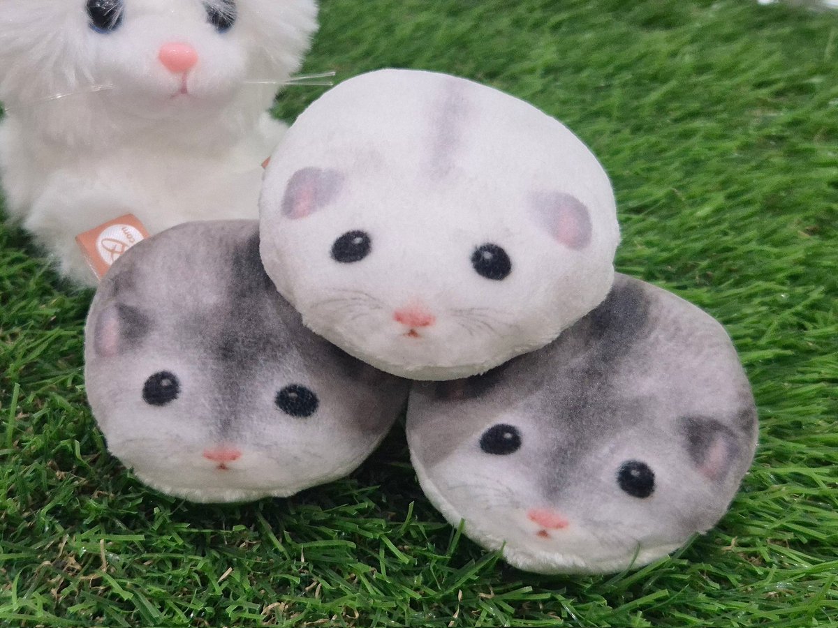 ⋆ ᴍᴏᴏᴅʏᴄʟᴜʙ ⋆ 무디클럽 tweet media