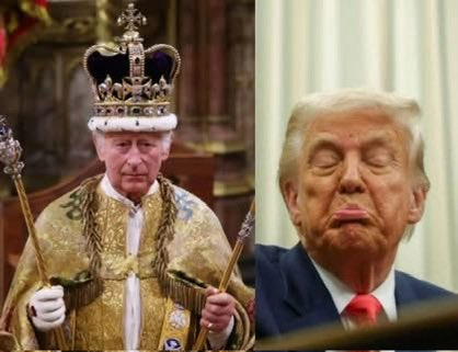 Occupy Democrats tweet media