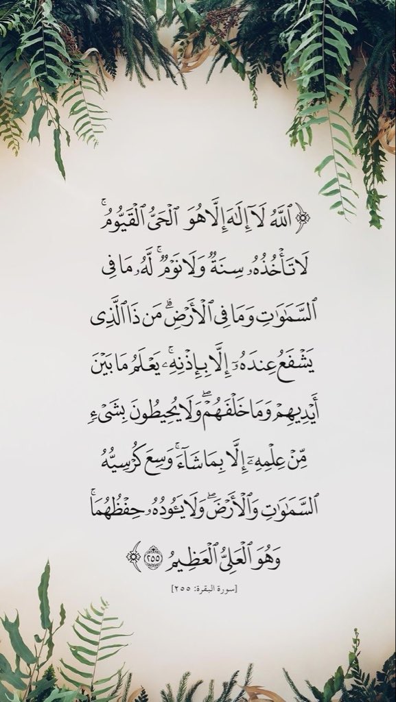 إذكاري ☂️🌻 tweet media