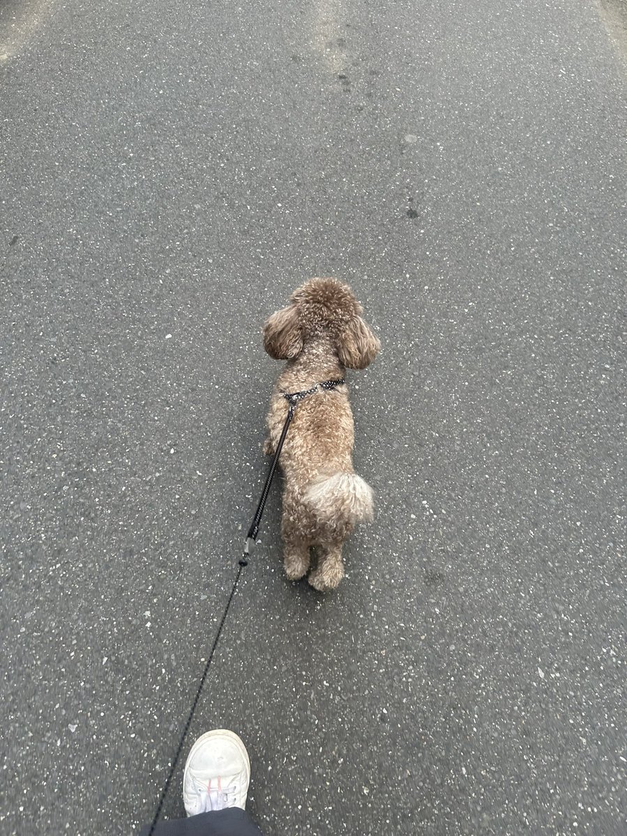 木下 遥 tweet media