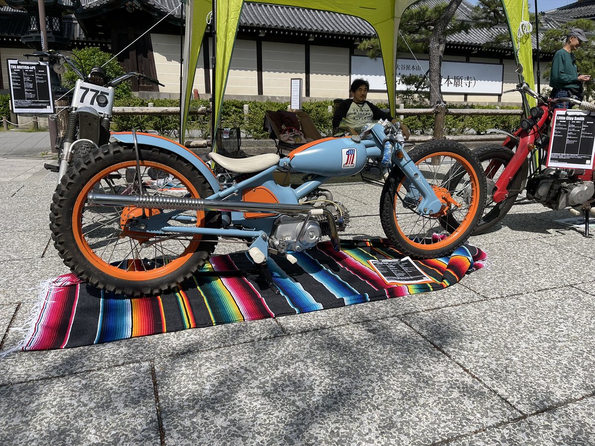 Omu散歩 tweet media