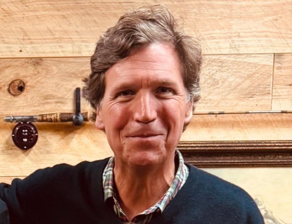 Odog Off Leash tweet media