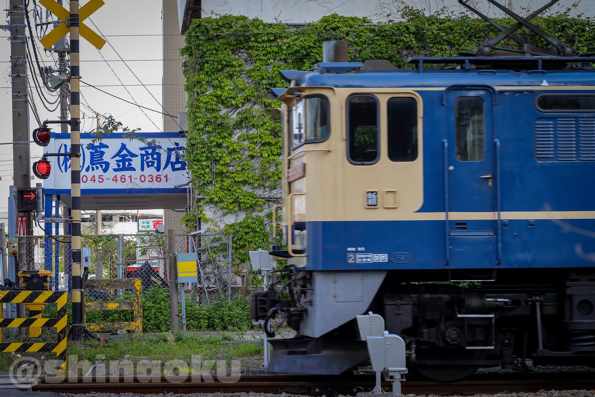ShinaOku's tweet image. 4/25 単1295 EF65 2080（代走）