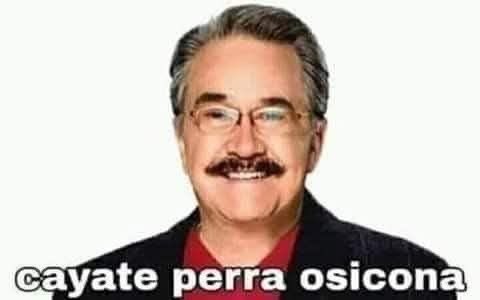 meldjsb tweet media